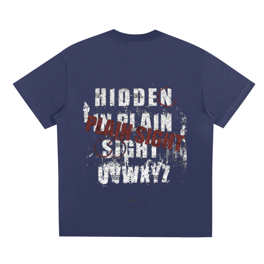 Hidden In Plain Sight