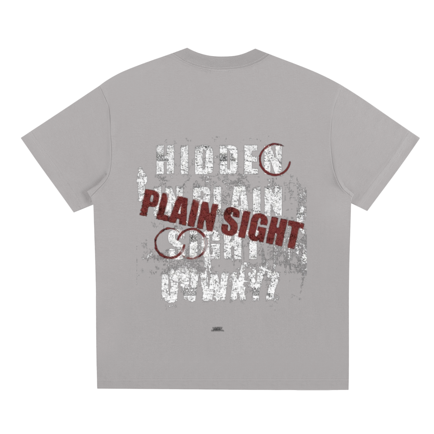 Hidden In Plain Sight