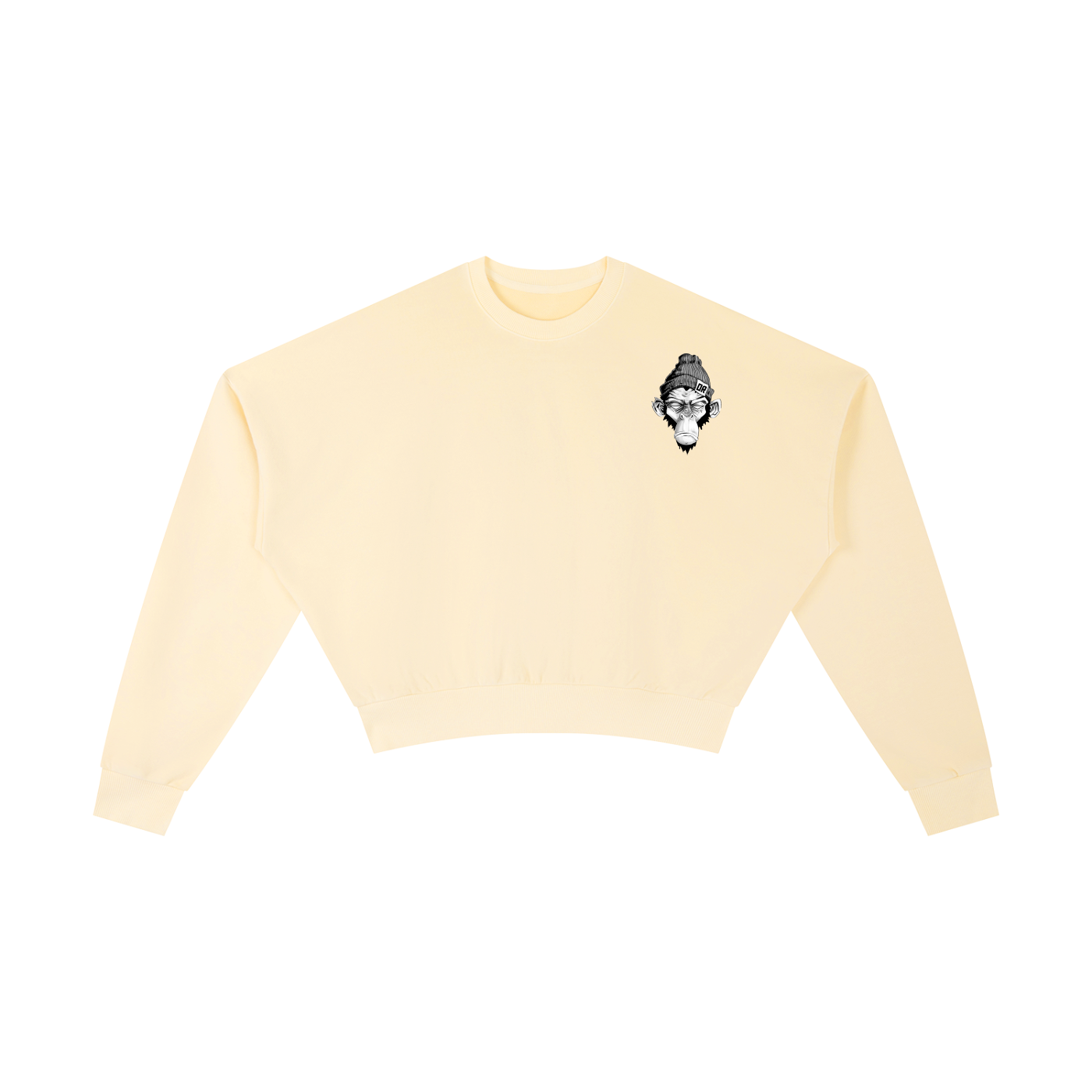 No filter Cropped Oversized Crewneck