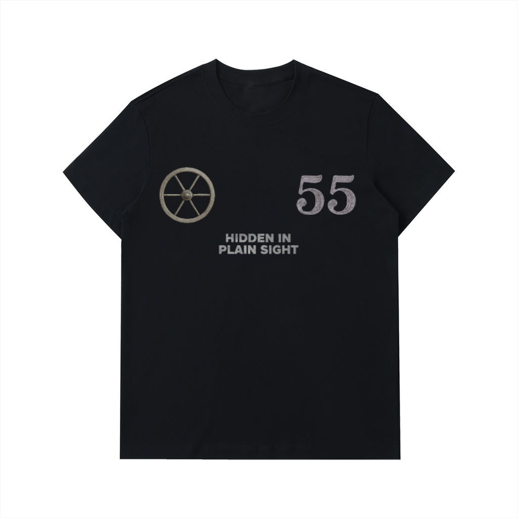 HIDDEN IN PLAIN SIGHT 55 OVERSIZED HEAVYWEIGHT TEE