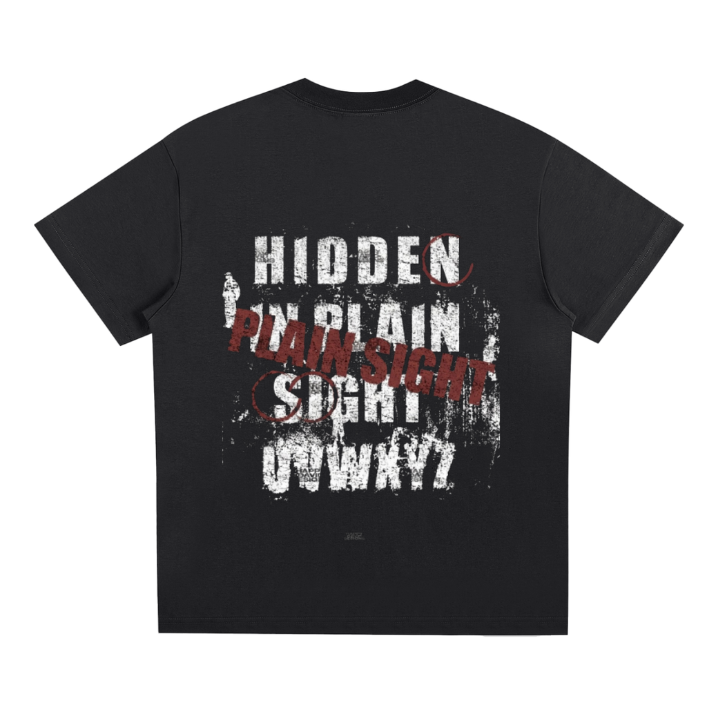 Hidden In Plain Sight